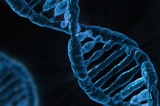 20 Best DNA Testing Kits in 2024