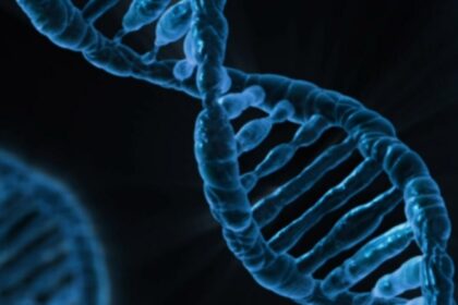 20 Best DNA Testing Kits in 2024