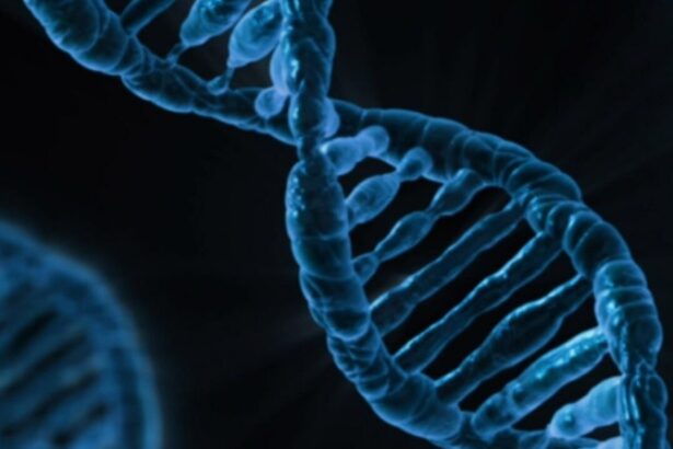 20 Best DNA Testing Kits in 2024