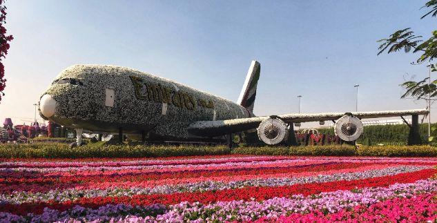 11. Miracle Garden