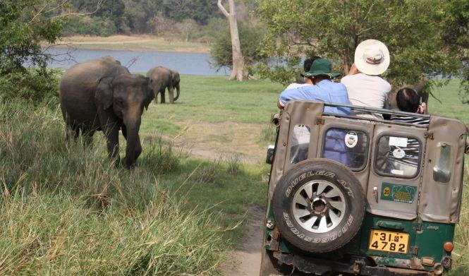 27. Dubai Safari Park