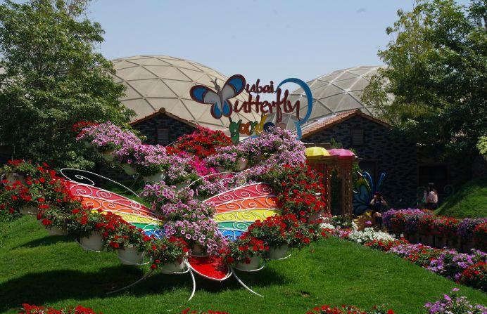 34. Dubai Butterfly Garden