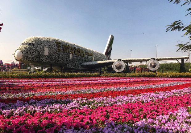 39. Dubai Miracle Garden