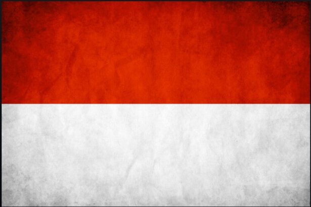 20 Best Reseller Hosting Providers In Indonesia 