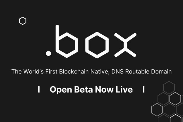 Introducing .box – The World’s First Blockchain Native, DNS Routable Domain