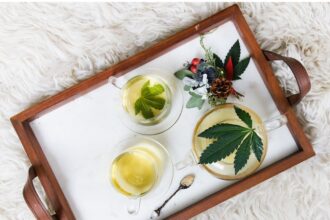 How CBD Can Help Business Persons for a Better Lifestyle