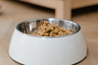 20 Best Dog Food For Pitbulls