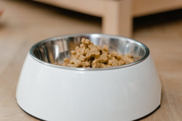 30 Best Senior Dog Food In 2024