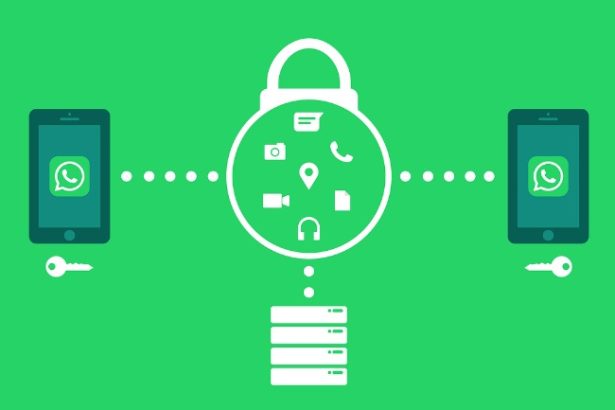 How To Make A Whatsapp Group Interesting 