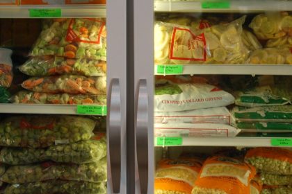 What is Frozen Food Store