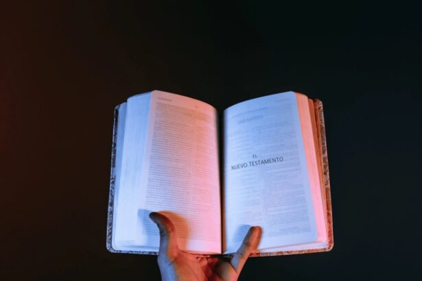 20 Best Bible App
