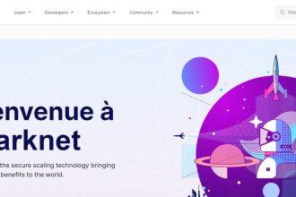 Starknet Price Predication 2024-2034
