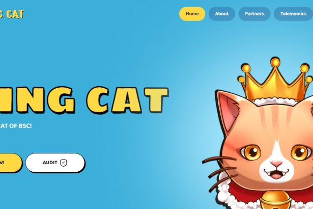 King Cat To Know More About This Crypto Read Our Article