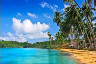 30 Best Andaman Nicobar Food In 2024