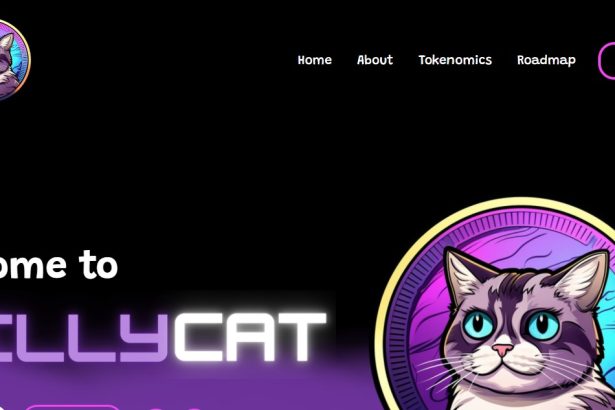 Sillycat To Know More About This Crypto Read Our Article
