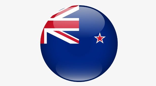 20 Best Forex Trading Platform NZ