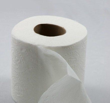 10 Best Toilet Paper In The World