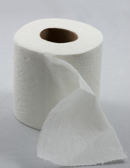 10 Best Toilet Paper In The World