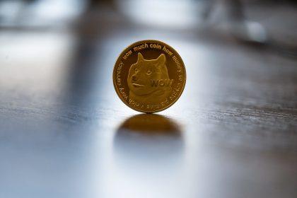 20 Best Dogecoin Casinos (DOGE)