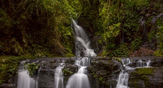 14. Lamington National Park