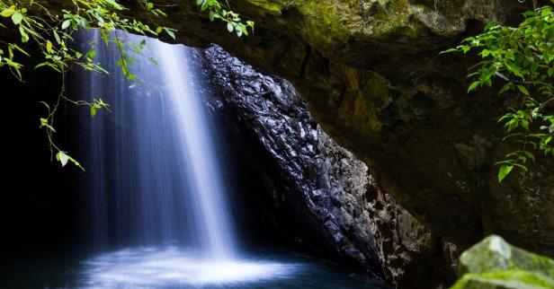 16. Springbrook National Park