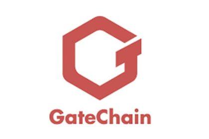 20 Best GateToken  Wallets In 2024