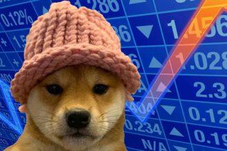 20 Best Dogwifhat Wallets In 2024