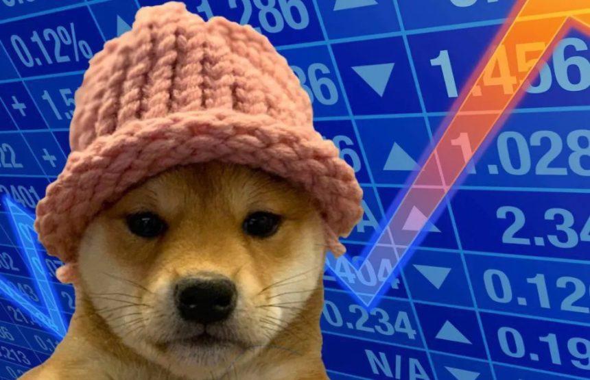 20 Best Dogwifhat Wallets In 2024