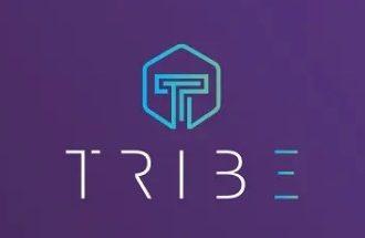 20 Best Tribe Crypto Wallet  In 2024
