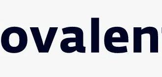 20 Best Covalent Wallets In 2024