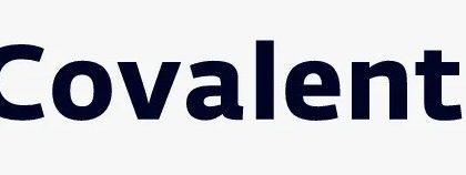 20 Best Covalent Wallets In 2024