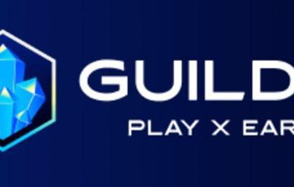 20 Best GuildFi  Wallets In 2024