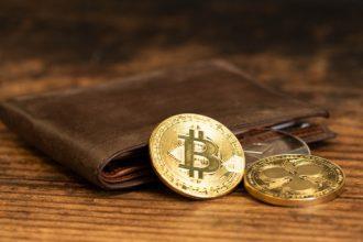 50 Best Secure Crypto Wallets In 2024