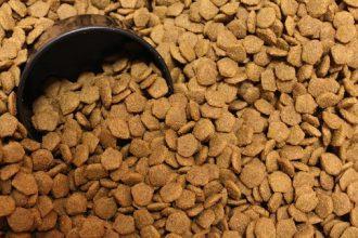 20 Best Dog Food South Africa