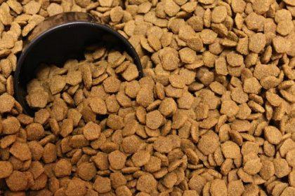 20 Best Dog Food South Africa