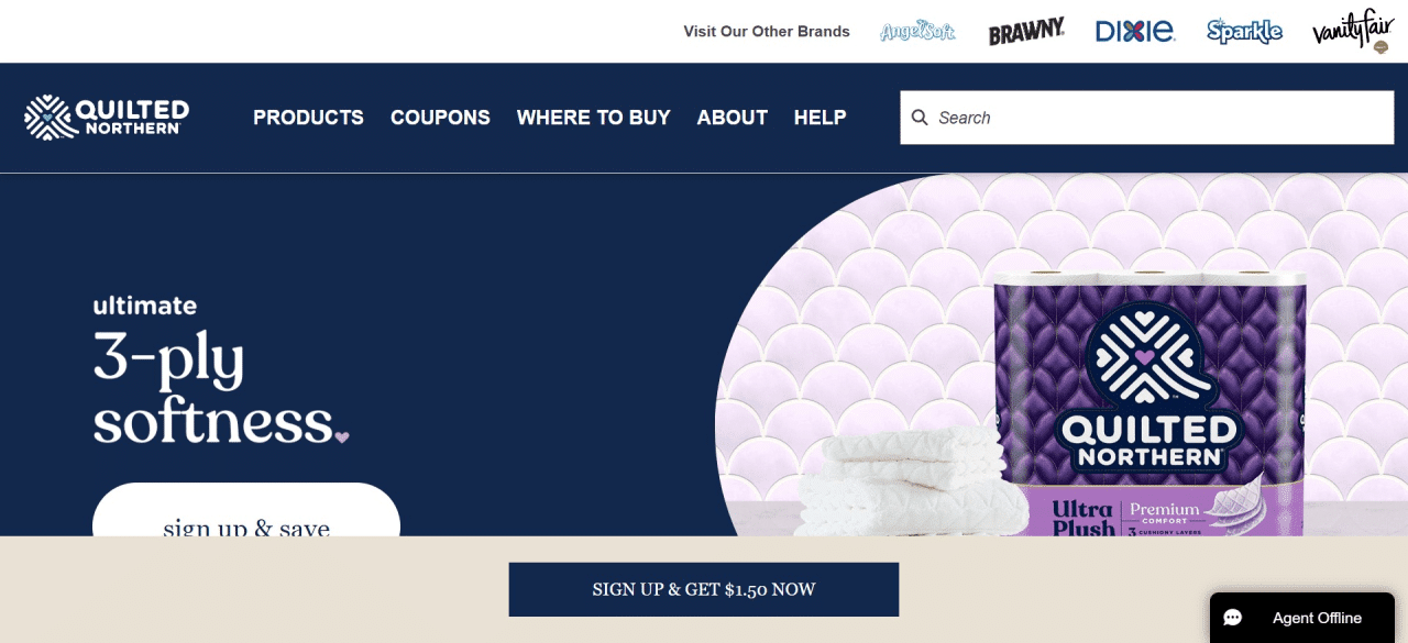 Quilted Northern Ultra Plush