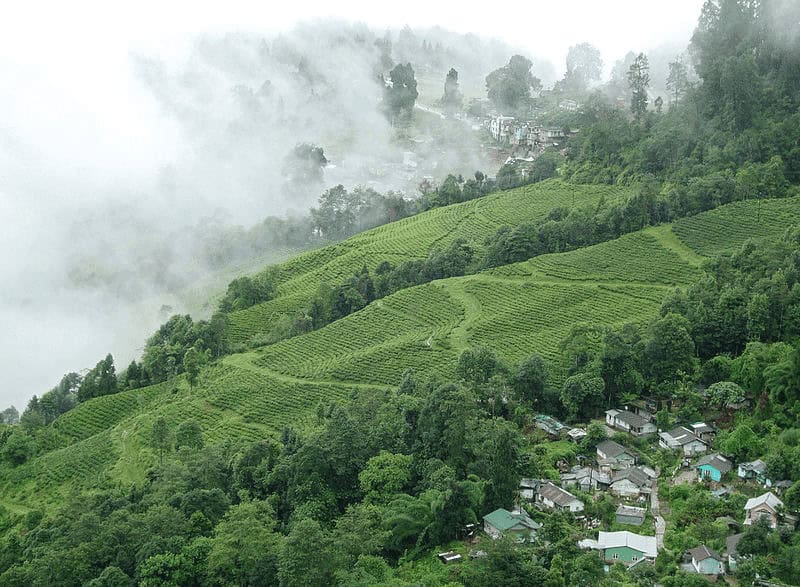 Darjeeling (Best Honeymoon Places In India In Low Budget)