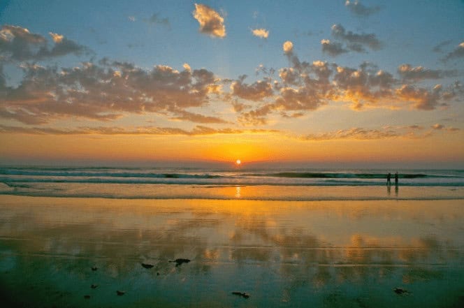 Morjim Beach (Best Beach In Goa)