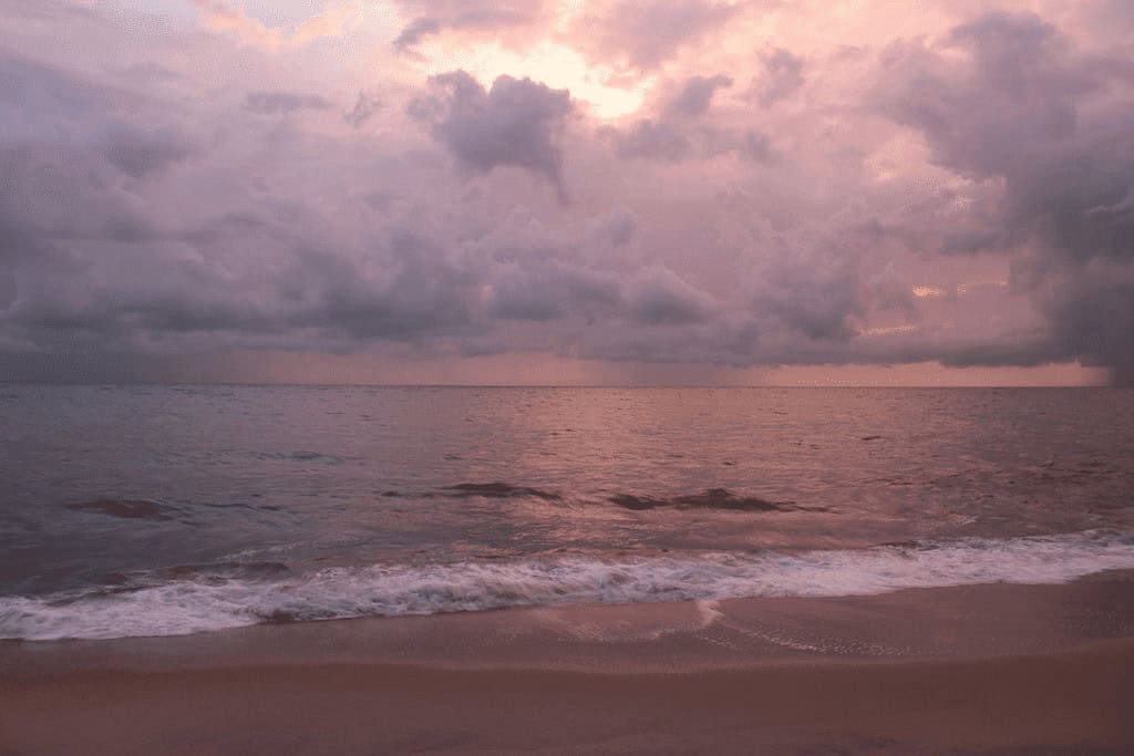 Marari (Best Beach In Kerala)