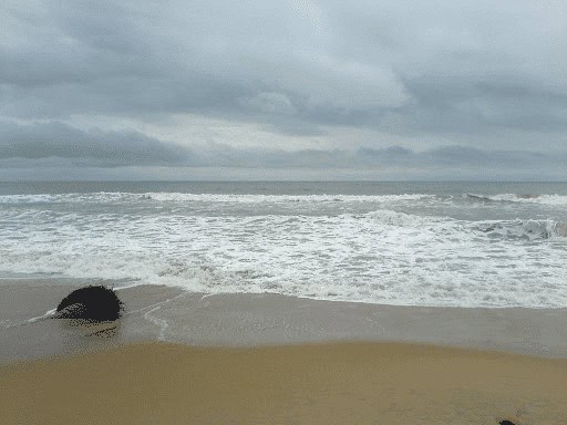 Vatanappally Beach (Near Thrissur)