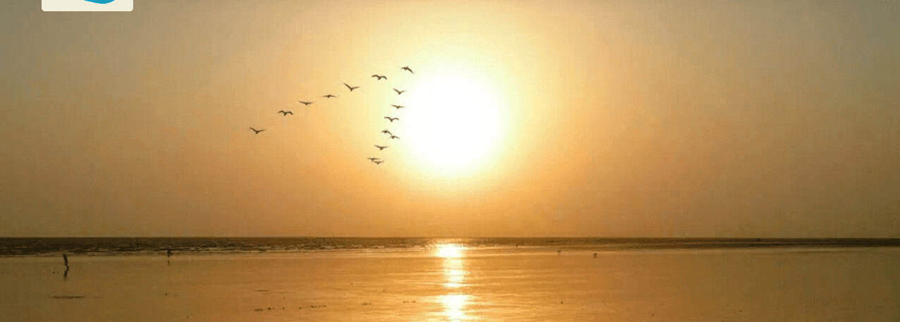 Kelwa Beach (Top Beach In Mumbai)