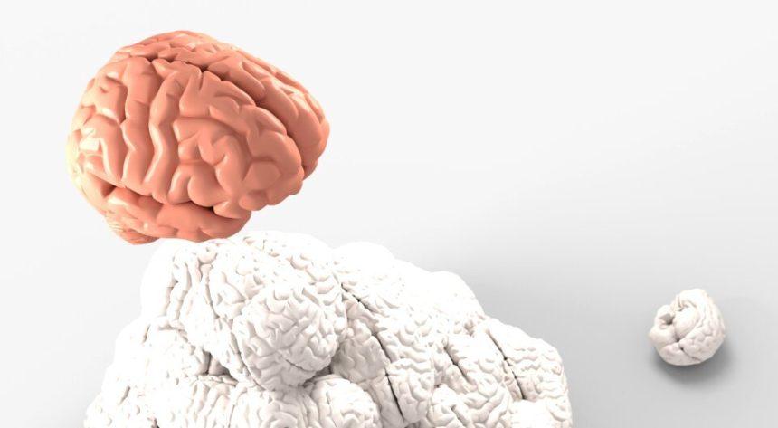 20 Best Neurologist In Sri Lanka