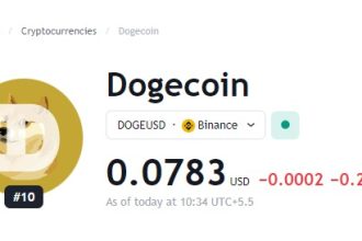 DOGE: Are We on the Brink of an Upheaval?