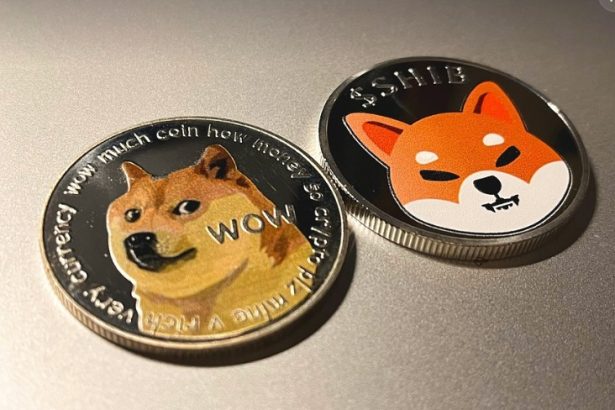 DOGE and SHIB make an exciting comeback with promising seven-day gains!