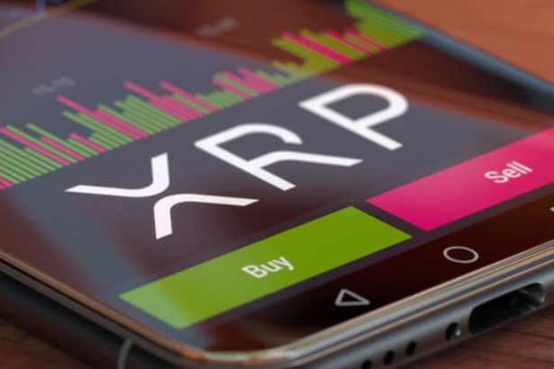 XRP Whales Accumulate Over 250 Million Tokens Amid Price Surge To $0.53