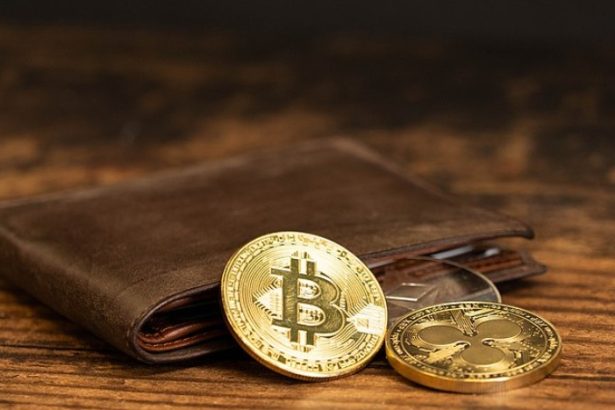Institutional Investors Commit $86.5M to Crypto: Paradigm Shift Unveils