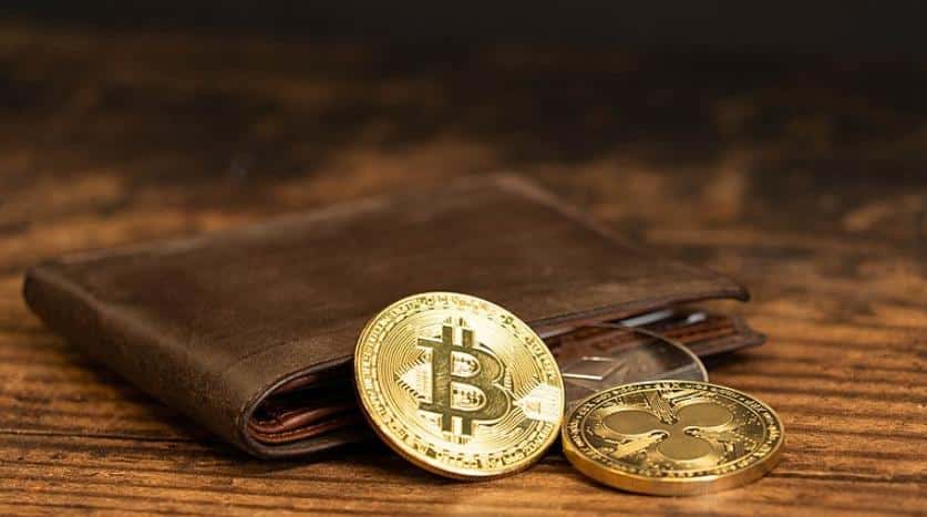 Institutional Investors Commit $86.5M to Crypto: Paradigm Shift Unveils
