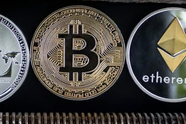 Internet Computer, Toncoin & Meme Moguls - Analyst's Pick for 2024