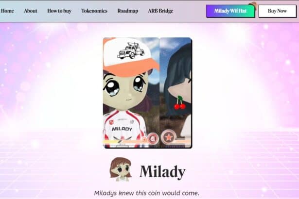 Milady Meme Coin Price Prediction 2024-2040 