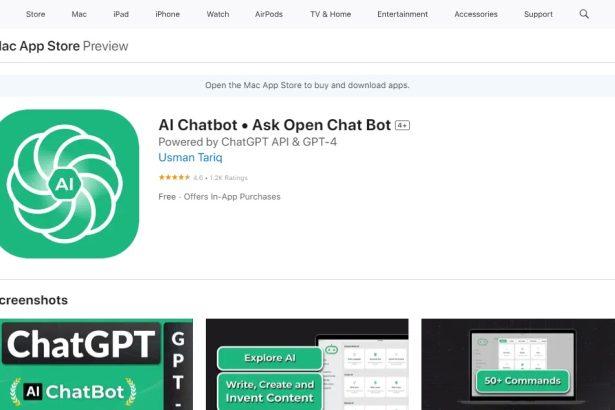 AI Chatbot Review : How To Use & Free Guide
